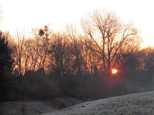 Sonnenaufgang, Februar 2015