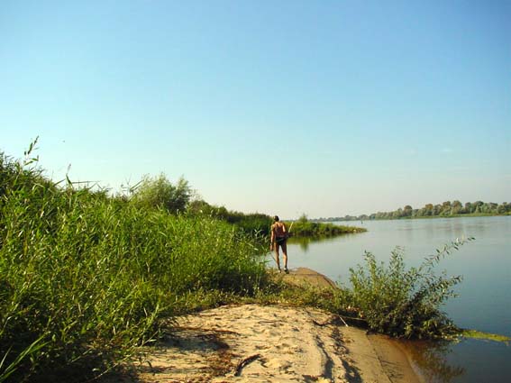 Sandstrand f&uuml;r V&ouml;gel und anderes Kleintier