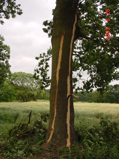 Blitzeinschlag in Teetz