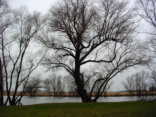 Strodehne 2004