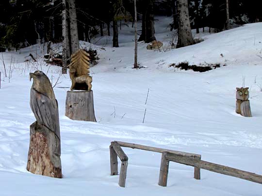 Belchen im Schwarzwald