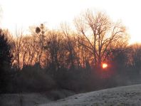Sonnenaufgang, Februar 2015
